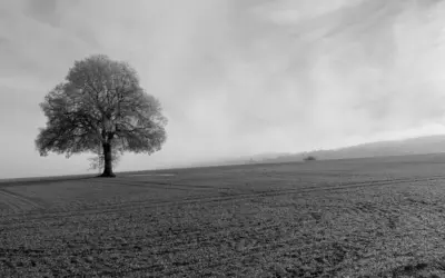 Wir trauern um unsere Mitglieder